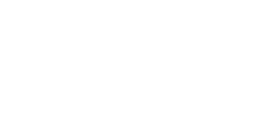 GERIN 2025